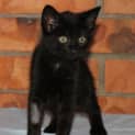 Photo of Lizzie