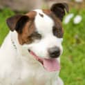 Photo of Rory Id9541