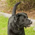 Photo of Max Id9063