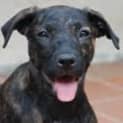 Photo of Xena