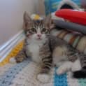 Photo of Betty