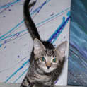 Photo of Shaunie