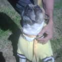 Photo of Boof ~~ I Have A Video !