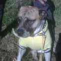 Photo of Boof ~~ I Have A Video !