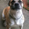 Photo of Boof ~~ I Have A Video !