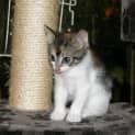 Photo of Tilly