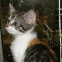 Photo of Tilly