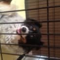 Photo of Roxy