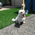 Photo of Mitzi