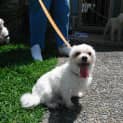 Photo of Mitzi