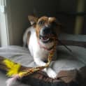 Photo of Kujo