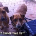Photo of Starsky And Hutch (On Trial 17/3/13)