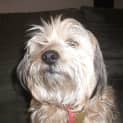 Photo of Susie