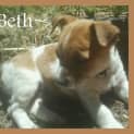 Photo of Beth