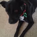 Photo of Molly