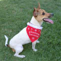 Photo of Merry *On Trial In Her New Home*