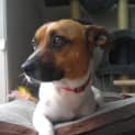 Photo of Kujo