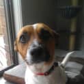 Photo of Kujo