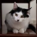 Photo of Melon Overton
