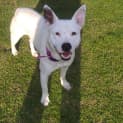 Photo of Casper