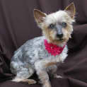 Photo of Tammy