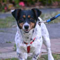 Photo of Mack
