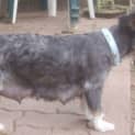 Photo of Trudi   On Hold