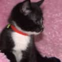 Photo of Timmy