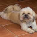 Photo of Janey