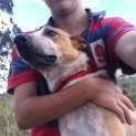 Photo of Rocky (2) (On Trial 28/2/13)