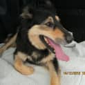 Photo of Sasha