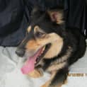 Photo of Sasha