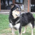 Photo of Sasha