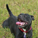 Photo of Maisy