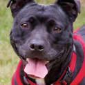 Photo of Maisy