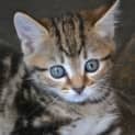 Photo of Rubi