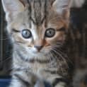 Photo of Rubi