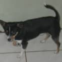 Photo of Tiny
