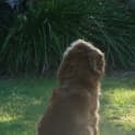 Photo of Max