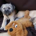 Photo of Ginni