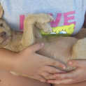 Photo of Buffy