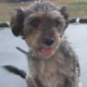 Photo of On Trial   Meeka