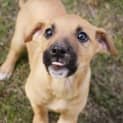 Photo of Stormy