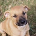 Photo of Stormy