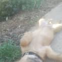 Photo of ~Sandy~ On Hold