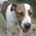 Photo of Lurch