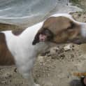 Photo of Lurch