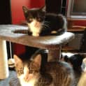 Photo of Toots & Baby