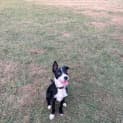 Photo of Zoe