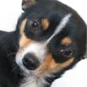Photo of Tiny